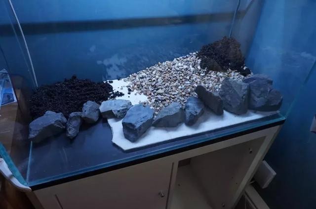 忻州魚缸維修電話號碼是多少呀（忻州魚缸維修電話號碼是多少呀）