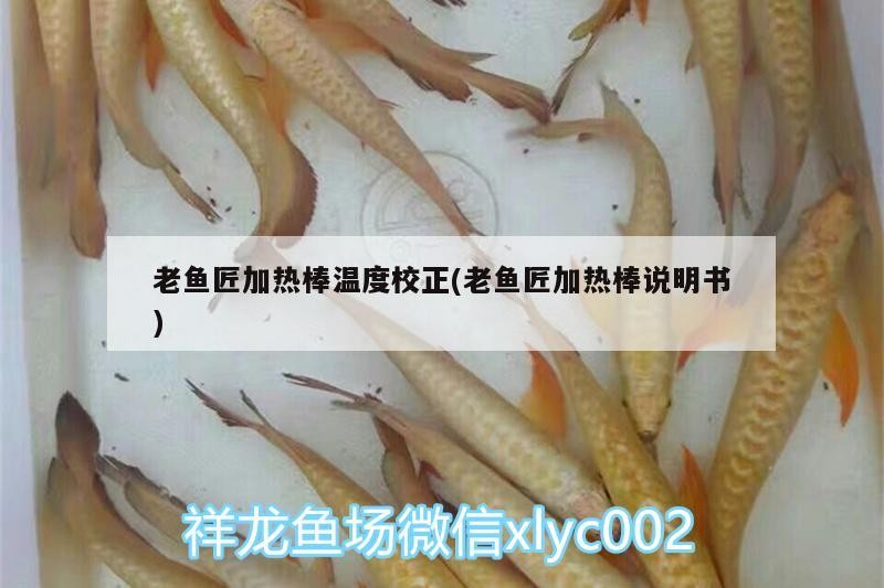 龍魚干蝦有營養(yǎng)嗎 老魚匠加熱棒溫度校正(老魚匠加熱棒說明書) 老魚匠 老魚匠加熱棒溫度校正(老魚匠加熱棒說明書) 老魚匠加熱棒溫度校正(老魚匠加熱棒說明書) 老魚匠