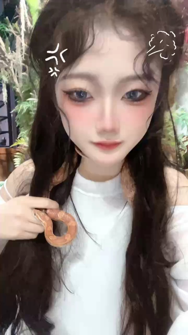 飼養的寵物蛇低價出