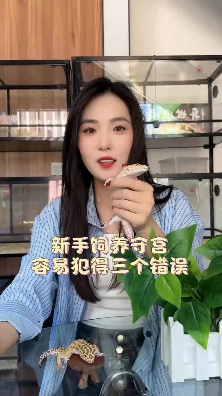 新手養守宮容易犯的錯誤