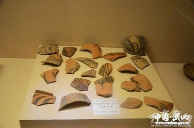 天水龍魚vs祥龍魚場（天水龍魚與祥龍魚場的區(qū)別） 天水龍魚vs祥龍魚場（天水龍魚與祥龍魚場的區(qū)別） 全國水族館企業(yè)名錄 第2張