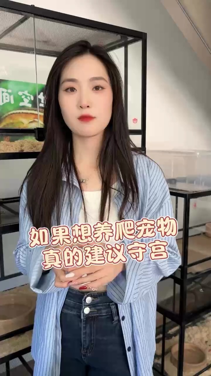 如果想養(yǎng)爬寵看看守宮 如果想養(yǎng)爬寵看看守宮 龍魚論壇