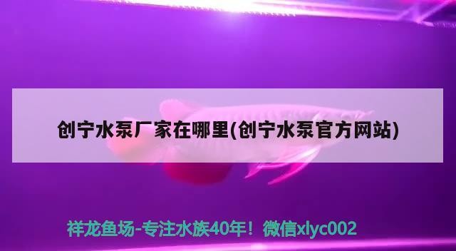 創寧水泵廠家在哪里(創寧水泵官方網站) 創寧水泵廠家在哪里(創寧水泵官方網站) 創寧水族