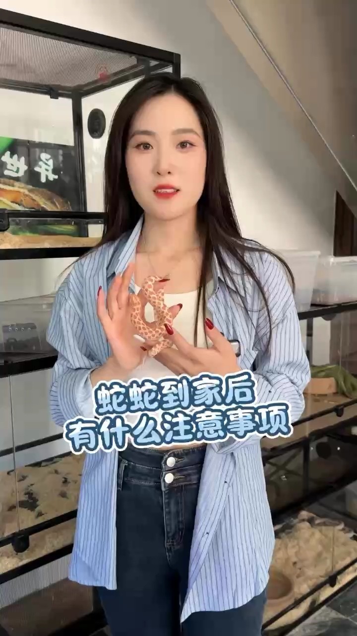 蛇到家后有什么注意事項(xiàng)