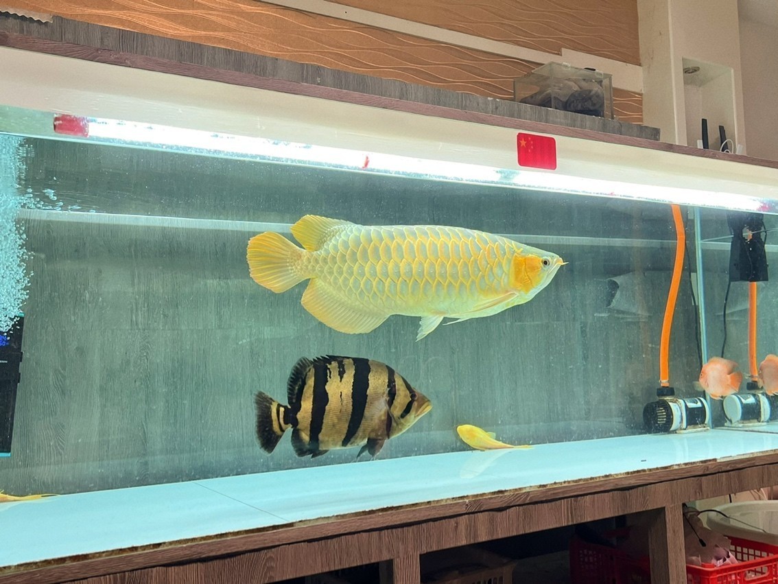 一組寫真流