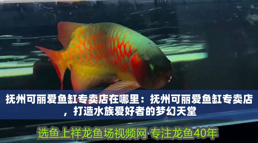 撫州可麗愛魚缸專賣店在哪里：撫州可麗愛魚缸專賣店，打造水族愛好者的夢幻天堂 撫州可麗愛魚缸專賣店在哪里：撫州可麗愛魚缸專賣店，打造水族愛好者的夢幻天堂 iwish愛唯希品牌魚缸 第1張