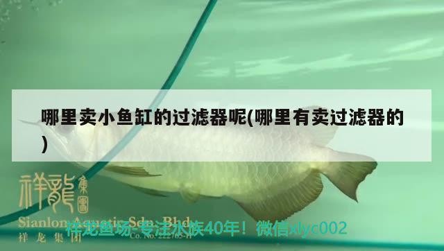英雄新缸黏好后多久可以放水，請各路英雄出手相救,，新缸黏好后多久可以放水