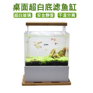 白底白背景魚缸養什么魚好：如何選擇適合白底白背景的魚缸？
