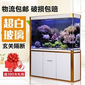 白底白背景魚缸養什么魚好：如何選擇適合白底白背景的魚缸？