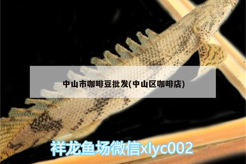 中山市咖啡豆批發(中山區咖啡店) 中山市咖啡豆批發(中山區咖啡店) 馬來西亞咖啡