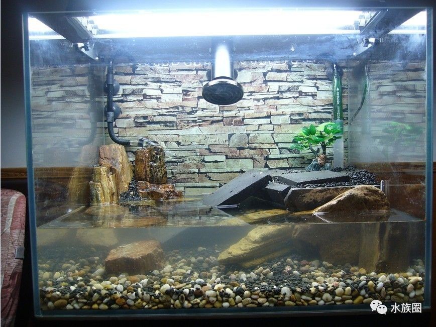 60公分魚缸造景多少錢一平方：60公分魚缸造景多少錢一平方\