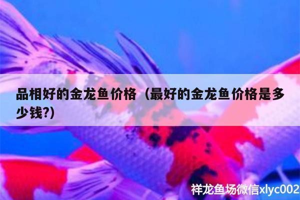 龍魚干蝦有營養嗎 愛唯希魚缸專賣店地址查詢官網(愛唯希魚缸專賣店地址查詢官網電話) iwish愛唯希品牌魚缸 愛唯希魚缸專賣店地址查詢官網(愛唯希魚缸專賣店地址查詢官網電話) 愛唯希魚缸專賣店地址查詢官網(愛唯希魚缸專賣店地址查詢官網電話) iwish愛唯希品牌魚缸