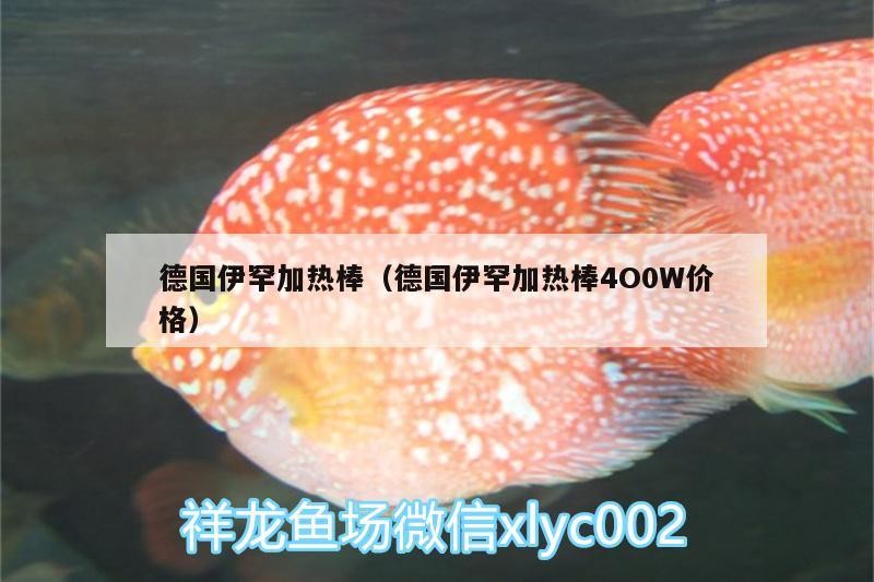 德國伊罕加熱棒（德國伊罕加熱棒4O0W價格） 德國伊罕加熱棒（德國伊罕加熱棒4O0W價格） 伊罕水族