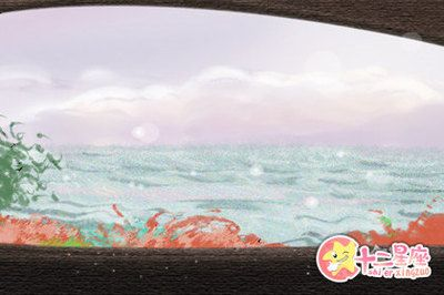 豬鼻龜招財辟邪嗎視頻大全：豬鼻龜招財辟邪養什么龜
