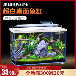 80x30x50的魚缸養什么金魚好：80x30x50的魚缸養殖方法 80x30x50的魚缸養什么金魚好：80x30x50的魚缸養殖方法 魚缸百科 第4張