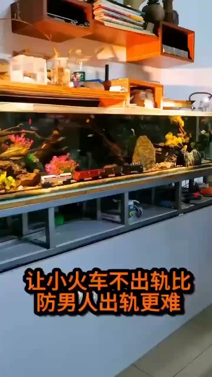 人才 人才 龍魚論壇
