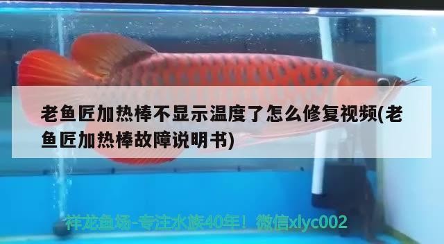老魚匠加熱棒不顯示溫度了怎么修復視頻(老魚匠加熱棒故障說明書)