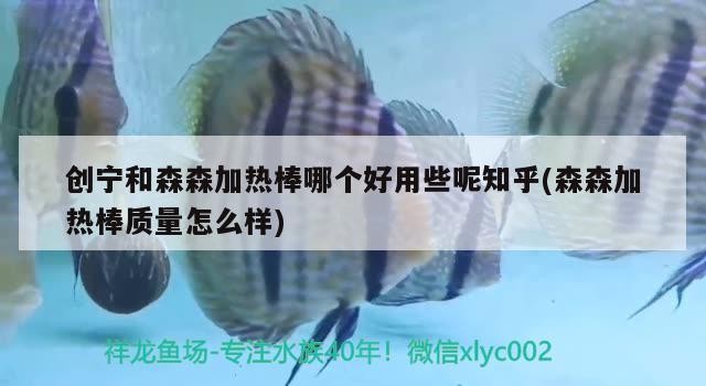 創寧和森森加熱棒哪個好用些呢知乎(森森加熱棒質量怎么樣)