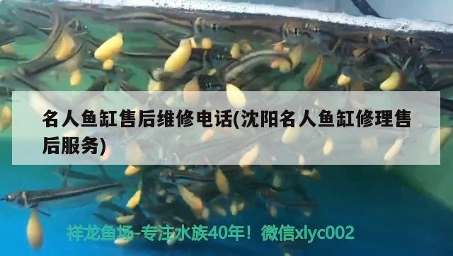 名人魚(yú)缸售后維修電話(沈陽(yáng)名人魚(yú)缸修理售后服務(wù))