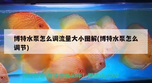 博特水泵怎么調流量大小圖解(博特水泵怎么調節)