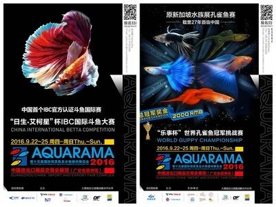 2024廣州水族展會時間地點在哪里：2024年廣州各區花市信息一覽 2024廣州水族展會時間地點在哪里：2024年廣州各區花市信息一覽 魚缸百科 第3張