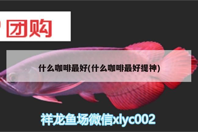 什么咖啡最好(什么咖啡最好提神) 什么咖啡最好(什么咖啡最好提神) 馬來西亞咖啡