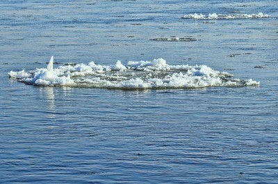 錦鯉飄起來沒死可以救活嗎？深度解析錦鯉浮水原因及搶救方法
