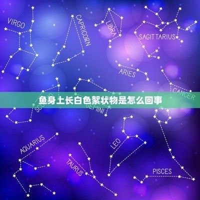 龍魚尾巴有白色絮狀物vs祥龍魚場：龍魚尾巴出現白色絮狀物是由于水質問題引起的，如何預防