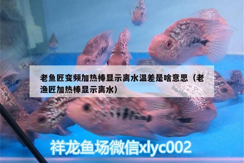 老魚匠變頻加熱棒顯示離水溫差是啥意思（老漁匠加熱棒顯示離水） 老魚匠變頻加熱棒顯示離水溫差是啥意思（老漁匠加熱棒顯示離水） 老魚匠