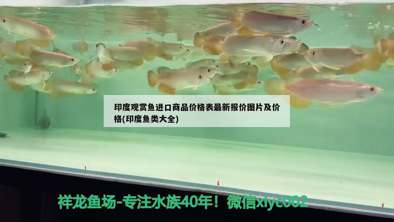 老魚匠魚缸加熱棒好嗎:魚缸溫度顯示e1 老魚匠 第2張 老魚匠魚缸加熱棒好嗎:魚缸溫度顯示e1 老魚匠魚缸加熱棒好嗎:魚缸溫度顯示e1 老魚匠 第2張