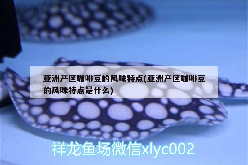 亞洲產區咖啡豆的風味特點(亞洲產區咖啡豆的風味特點是什么) 亞洲產區咖啡豆的風味特點(亞洲產區咖啡豆的風味特點是什么) 馬來西亞咖啡