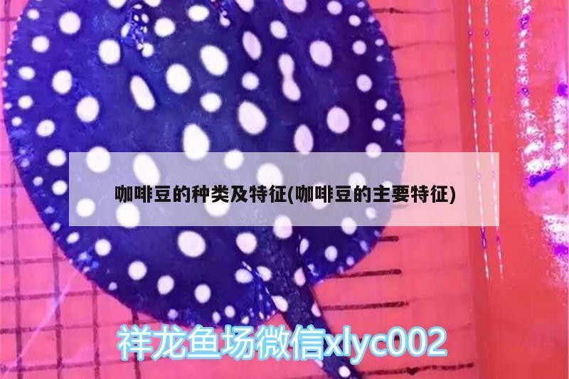 咖啡豆的種類及特征(咖啡豆的主要特征) 咖啡豆的種類及特征(咖啡豆的主要特征) 馬來西亞咖啡