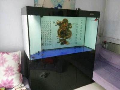 八公分虎魚吃什么：八公分的虎魚吃什么