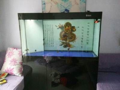 八公分虎魚吃什么：八公分的虎魚吃什么