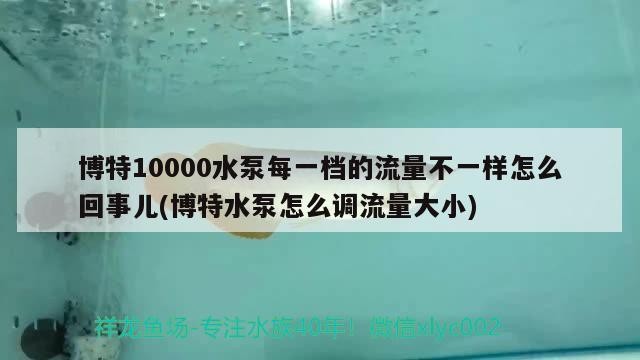 博特10000水泵每一檔的流量不一樣怎么回事兒(博特水泵怎么調(diào)流量大小)