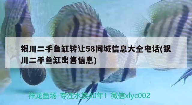 銀川二手魚缸轉讓58同城信息大全電話(銀川二手魚缸出售信息)