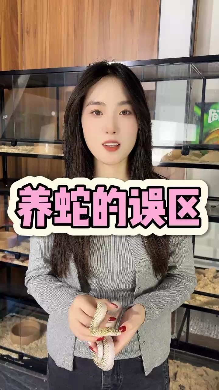 關于養蛇的誤區你知道幾個 關于養蛇的誤區你知道幾個 龍魚論壇