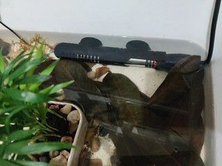 diy魚缸加熱器：diy魚缸加熱器的安全性
