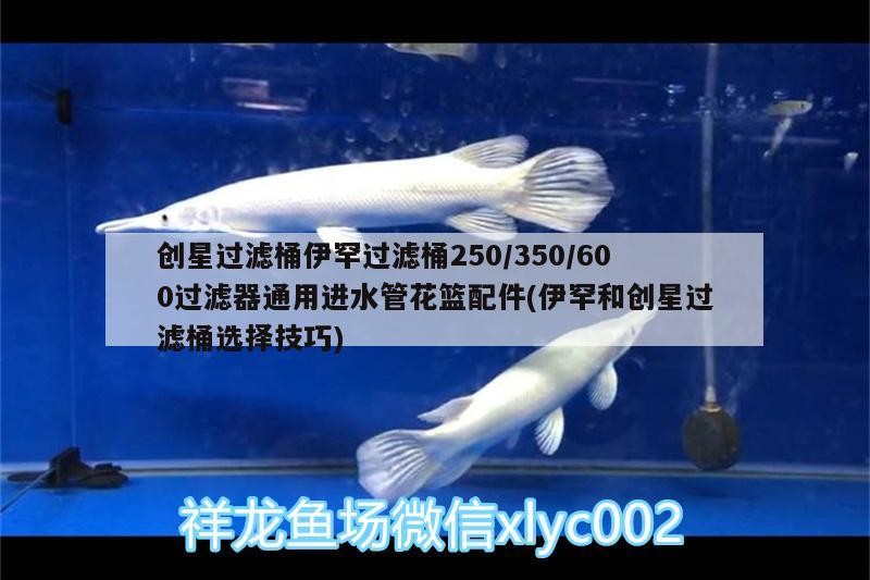 創(chuàng)星過濾桶伊罕過濾桶250/350/600過濾器通用進(jìn)水管花籃配件(伊罕和創(chuàng)星過濾桶選擇技巧) 創(chuàng)星過濾桶伊罕過濾桶250/350/600過濾器通用進(jìn)水管花籃配件(伊罕和創(chuàng)星過濾桶選擇技巧) 伊罕水族