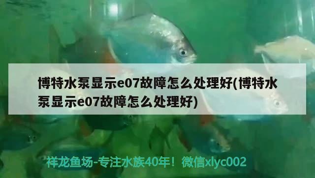 博特水泵顯示e07故障怎么處理好(博特水泵顯示e07故障怎么處理好) 博特水泵顯示e07故障怎么處理好(博特水泵顯示e07故障怎么處理好) 博特水族 第3張