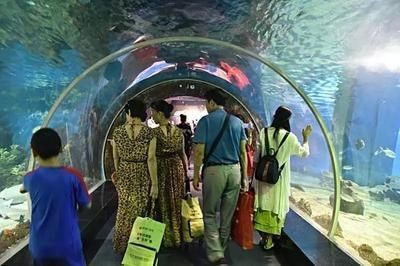 岳陽水族館vs祥龍魚場（岳陽水族館與祥龍魚場各有其特色和優勢）