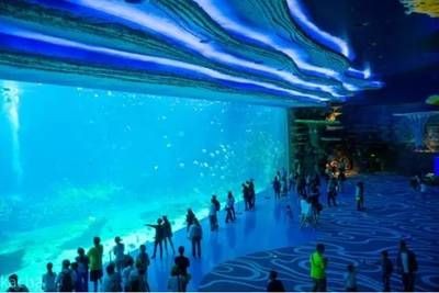岳陽水族館vs祥龍魚場（岳陽水族館與祥龍魚場各有其特色和優勢）