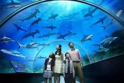 岳陽水族館vs祥龍魚場（岳陽水族館與祥龍魚場各有其特色和優勢）