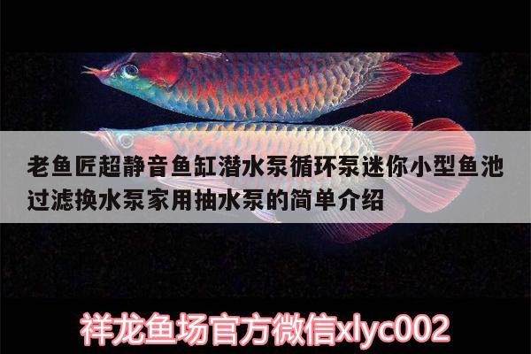 老魚匠超靜音魚缸潛水泵循環泵迷你小型魚池過濾換水泵家用抽水泵的簡單介紹