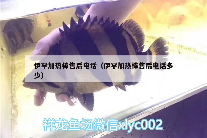 伊罕加熱棒售后電話（伊罕加熱棒售后電話多少） 伊罕加熱棒售后電話（伊罕加熱棒售后電話多少） 伊罕水族