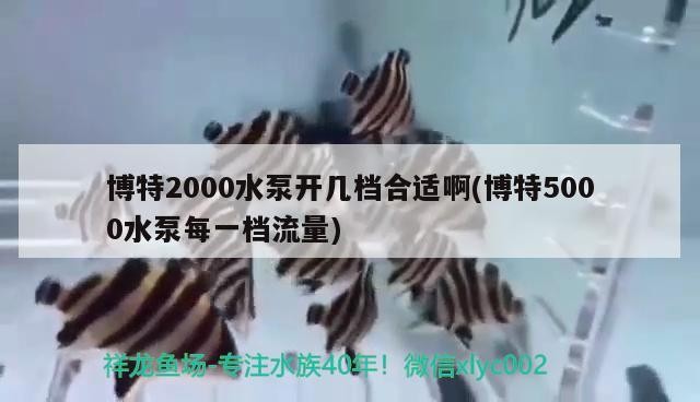 博特2000水泵開幾檔合適啊(博特5000水泵每一檔流量)