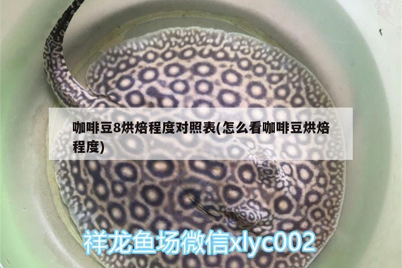 咖啡豆8烘焙程度對照表(怎么看咖啡豆烘焙程度) 咖啡豆8烘焙程度對照表(怎么看咖啡豆烘焙程度) 馬來西亞咖啡