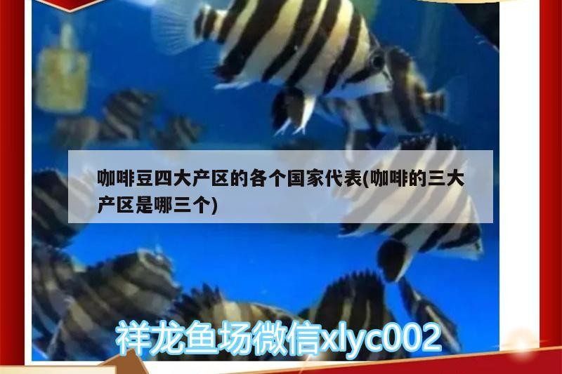咖啡豆四大產區的各個國家代表(咖啡的三大產區是哪三個)