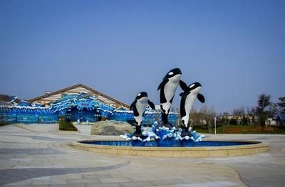 大連水族館vs祥龍魚場（大連水族館可能與觀賞魚市場有關聯，但具體信息較少）