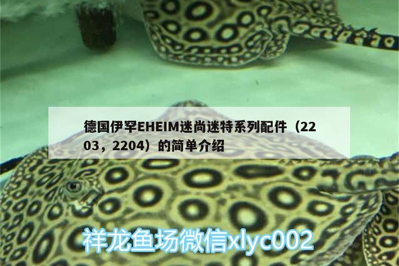 德國伊罕EHEIM迷尚迷特系列配件（2203，2204）的簡單介紹